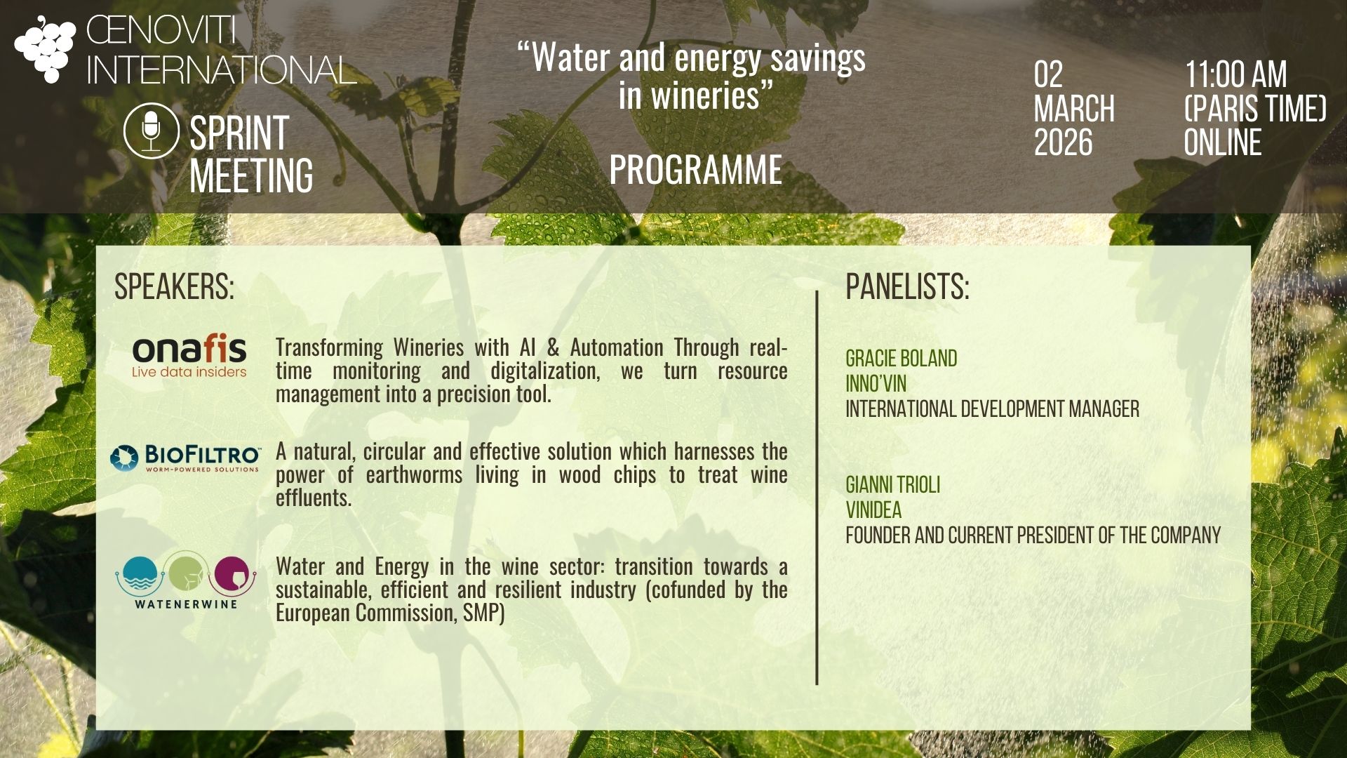 Sprint 02.03.26 banner prog